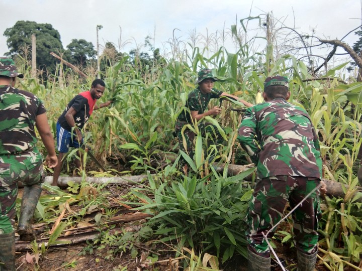 88d8c6a6-d495-4a1a-b5e1-92c68beb2e59