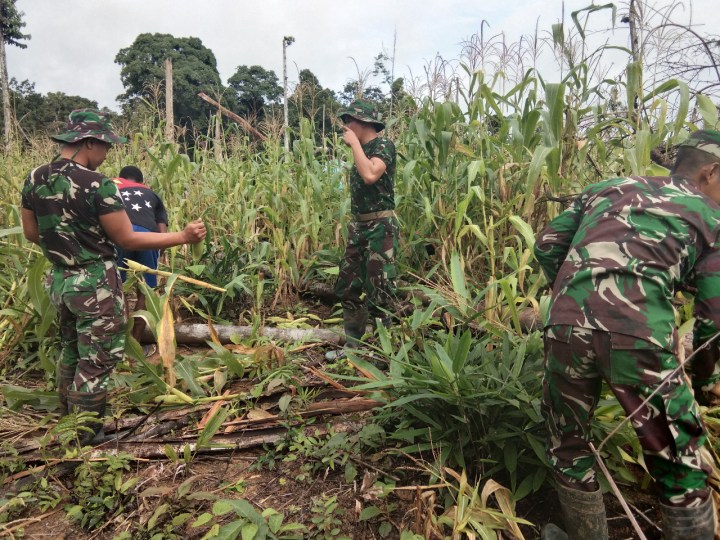 98bf68b1-4722-405a-aea7-e6589f665142