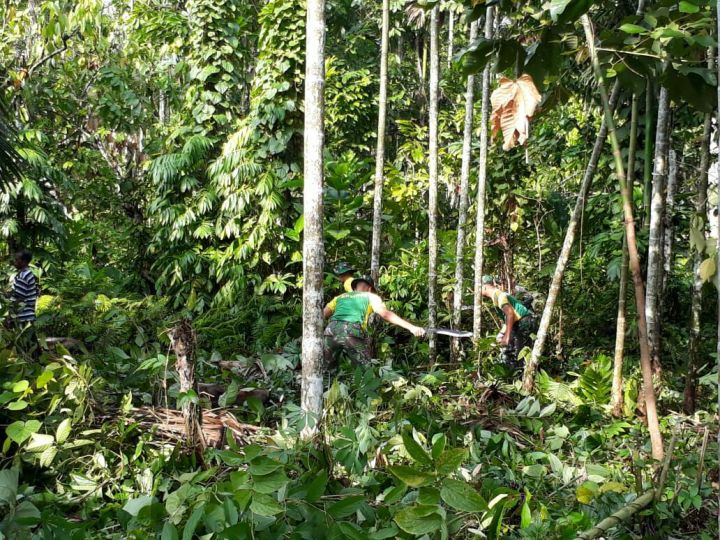 ed713f3c-6844-457d-800c-265680a73ace